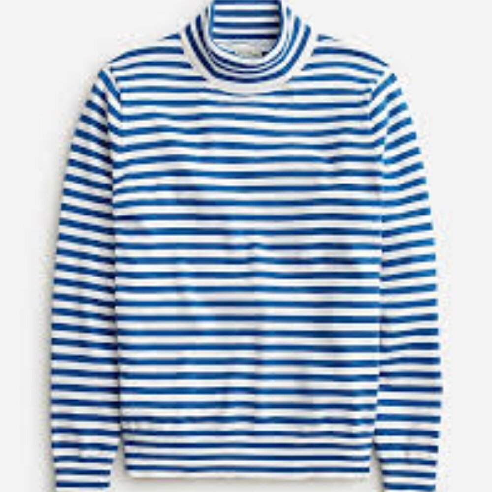 J. Crew Cotton Turtleneck Sweater in Stripe